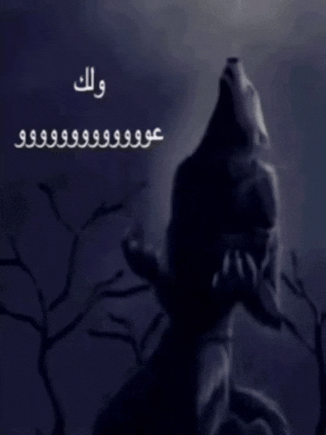 Alpha Wolf GIF