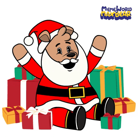 Christmas Present Yolo GIF by Meme World of Max Bear