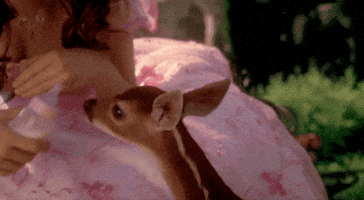 Bambi GIF