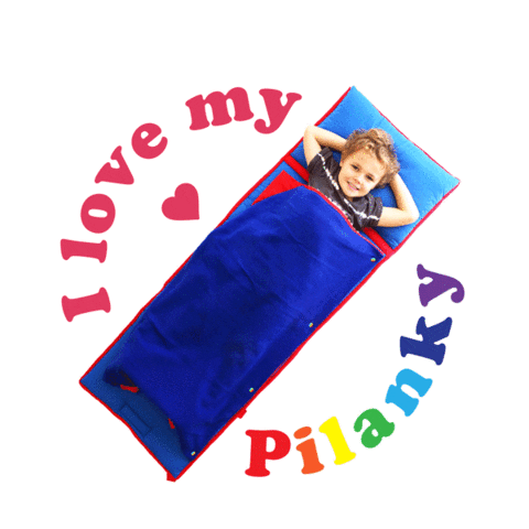 Pilanky Sticker