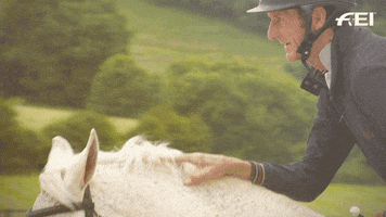 Horse Cuddle GIF by FEI Global