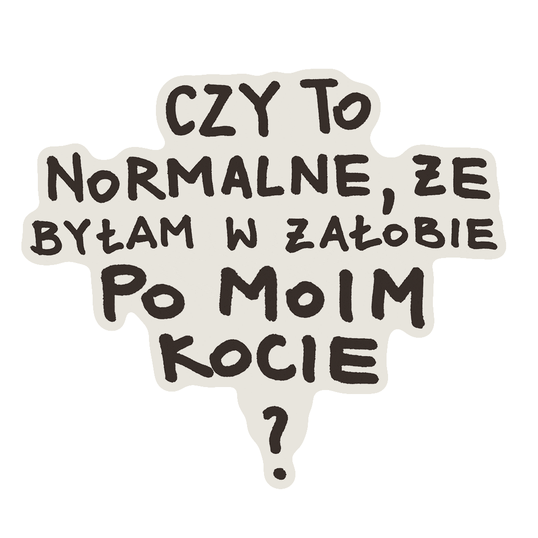 Instytut Dobrej Śmierci Sticker