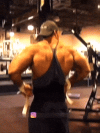 1gif GIFs - Get the best GIF on GIPHY