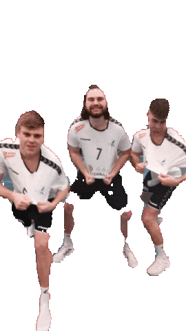 HSG Leimental Sticker