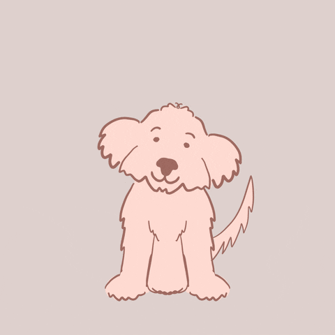 Dog What GIF