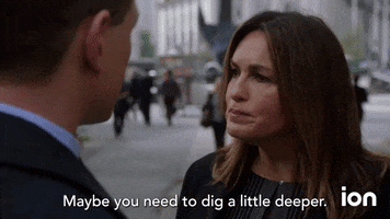 Law And Order Svu GIF by ION
