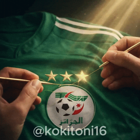 Algeria Dz GIF