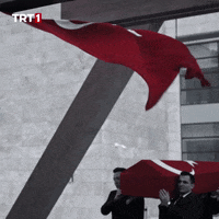 Flag Turk GIF by TRT