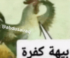 ميمز GIF