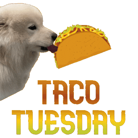 Taco Tuesday Sticker by waggingtailspr