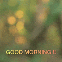 Funny-weekend GIFs - Get the best GIF on GIPHY Funny-weekend GIFs - Get the best GIF on GIPHY