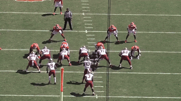 Nfl Draft GIF