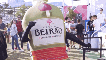Festival Portugal GIF by Licor Beirão