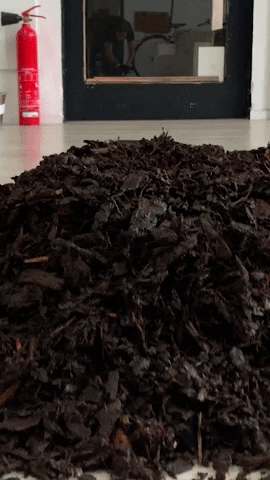 GIF by blackframestudios