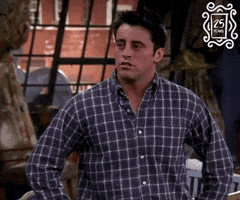 Joey Tribbiani Flirting GIF by Friends