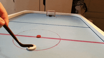Hockey GIF
