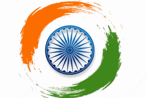 Independence Day India GIF by techshida