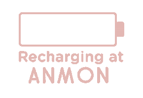 ANMON Sticker