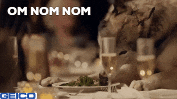 Hungry Dog GIF by GEICO