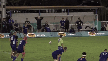 Wits GIF