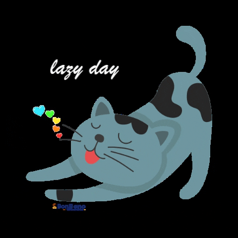 BonBeno GIF