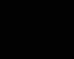 Secure GIF