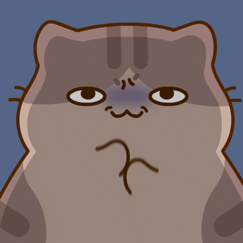 Neko Funny Cat GIF by Bichi Mao