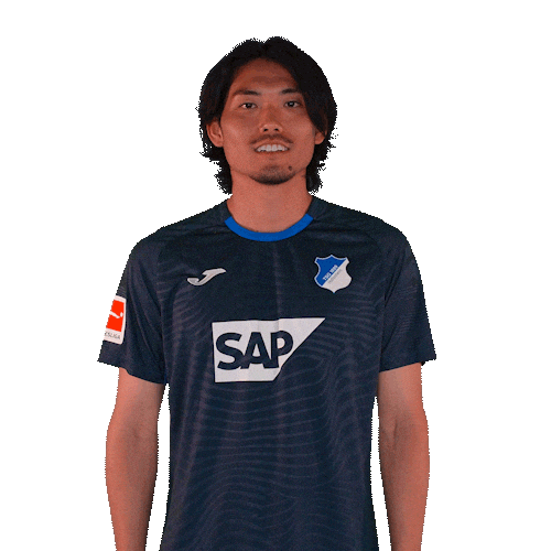 Sport Bundesliga Sticker by TSG Hoffenheim