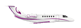 Fight Jet Sticker by JetMate - Online Flight Support