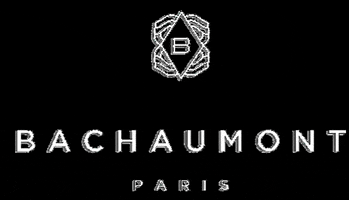 hotelbachaumont GIF