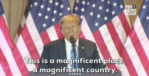 Donald Trump GIF