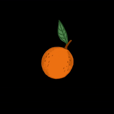 annagrimalillustration orange fruit fruta naranja GIF