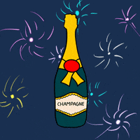 Champagne GIF by Visual Stories by MJ
