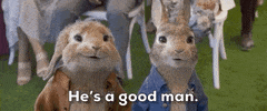Sony Compliment GIF by Peter Rabbit Movie