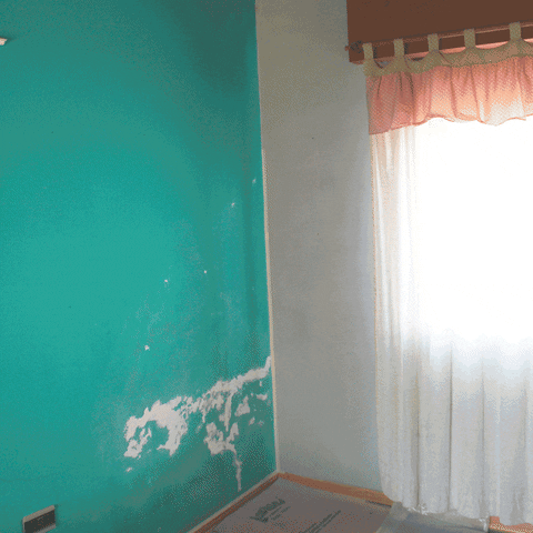 Pintura GIF