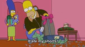The Simpsons Christmas GIF by Animation Domination