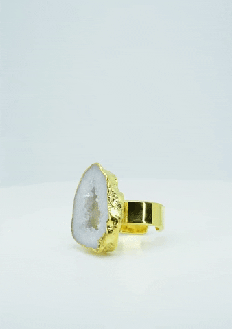 GIF by House of Vincent