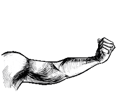 Bicep Sticker by Active Square