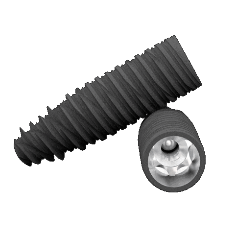 K Implant Sticker by Biotech Dental