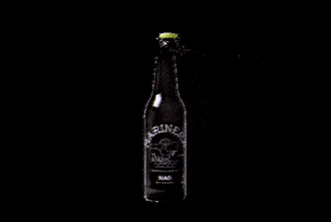 Nao Beer GIF