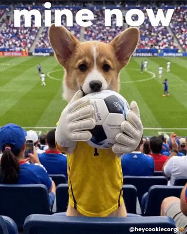 Football Save GIF