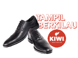 Interview Shoes Sticker by Kiwi Shoe Care