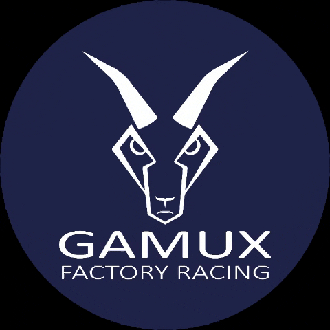 Racing Mtb GIF by GAMUX