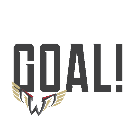 Philadelphia Wings Sticker