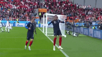 Celebrate France GIF by FIFA