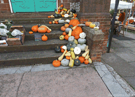Giant Pumpkin Halloween GIF by sheepfilms