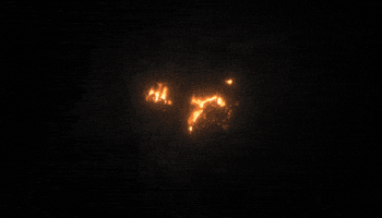 Chupacabra GIF by Dirtbag Brands