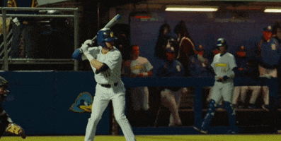 BlueHens baseball bluehens tough guy hit by pitch GIF