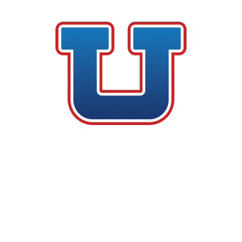 Faculdade Irecê Sticker