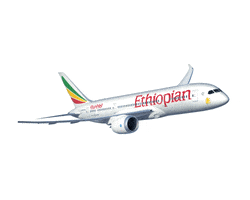 EthiopianAirlinesItaly africa ethiopia ethiopian ethiopianairlines GIF